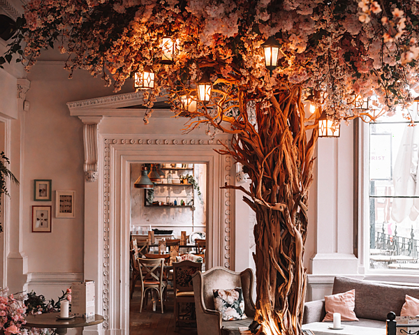 Florist, Interior, Floral, Tree, Lanterns, Restaurant, Bar, Cocktails, Food