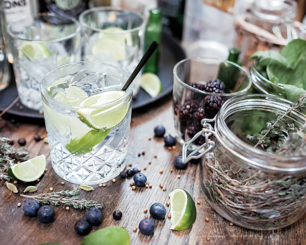 Gin and Tonic With Lime Garnish
