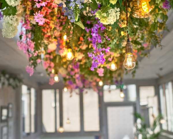 The Florist, Park St by Friction Collective A7R7066 on 