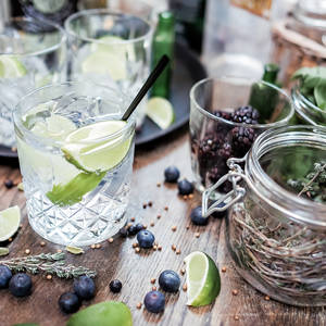 Gin Masterclass